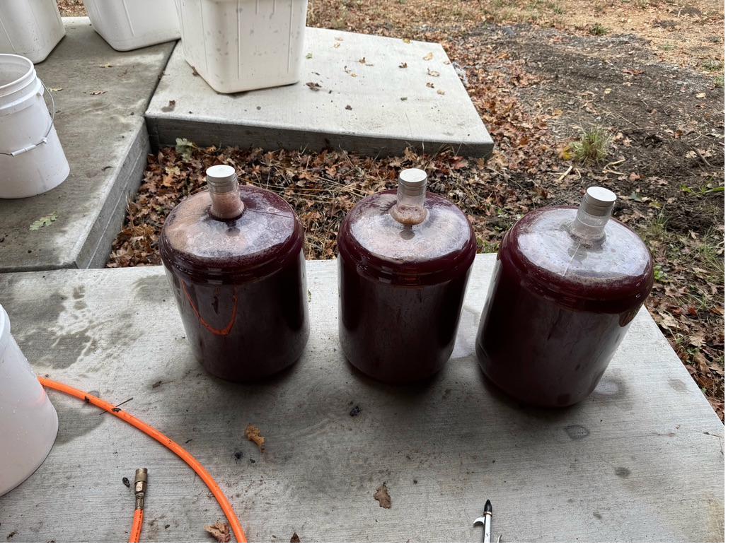 Three carboys of Zinfandel outside