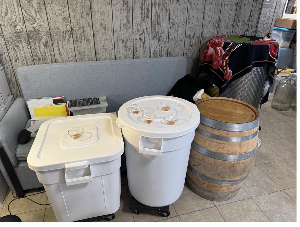 Fermentation bins and oak barrel in the cellar