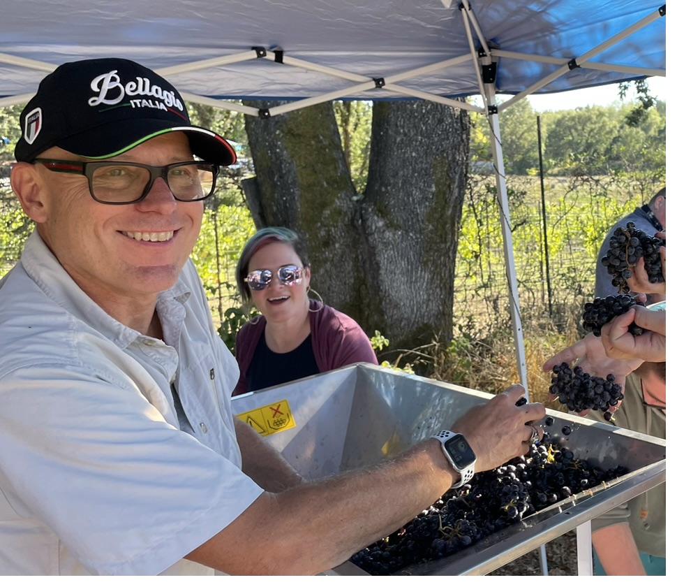 Winemaker at grape sorting table during harvest party