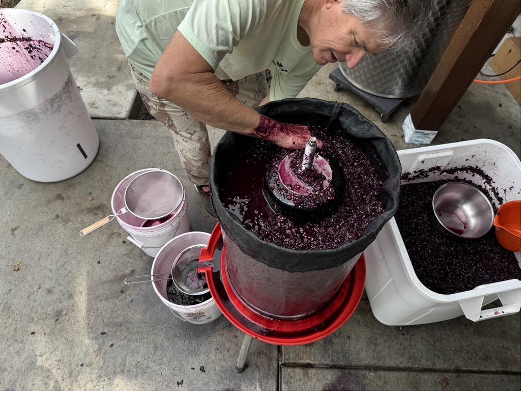 Punching down the cap during red wine fermentation