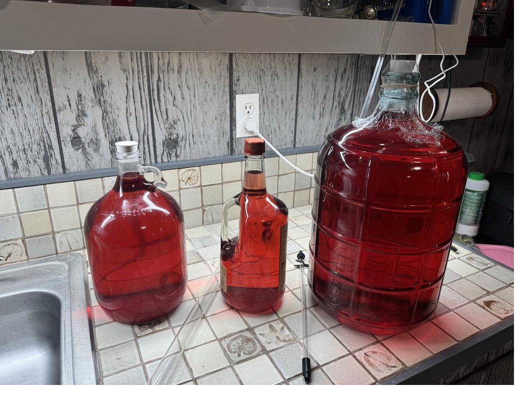 Wine barrels and carboys in the cellar