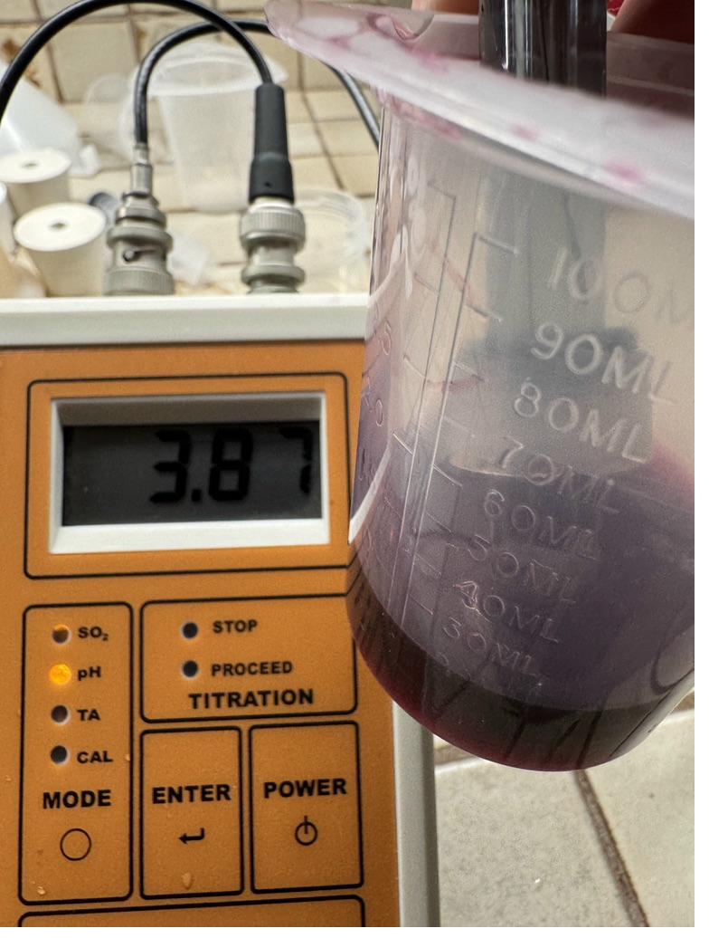 pH titration — precision matters in white wine production